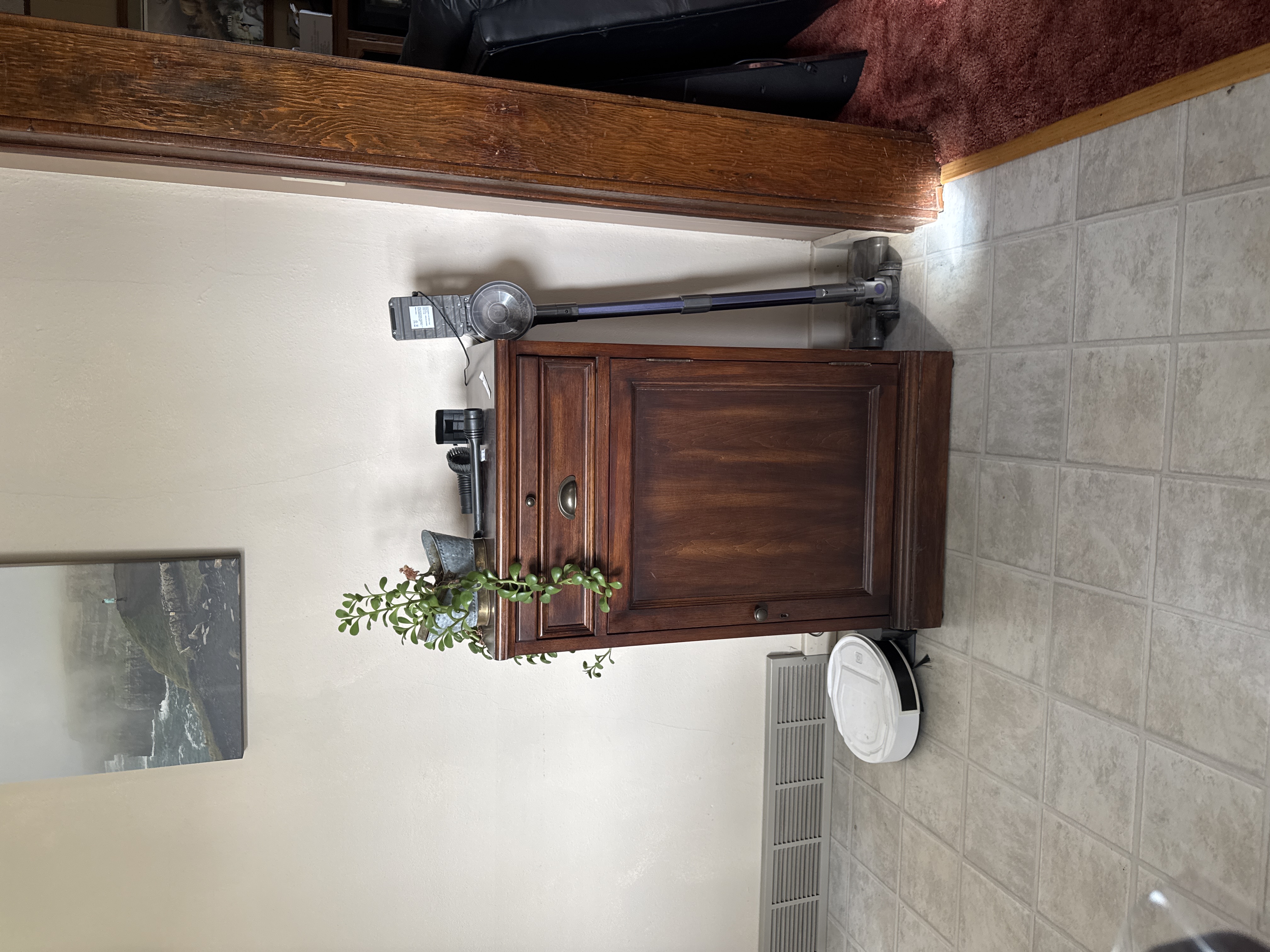 Dark Wood Storage Cabinet with Drawer and Single Door